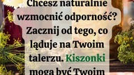  Kiszonki i fermentowane produkty, a odporność.