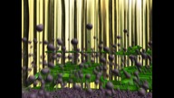 KOD LYOKO S02E36 - MARABUNTA - Cały Odcinek 1080p PO POLSKU