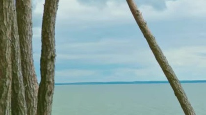 Wind and waves for relax #relaxation #nature