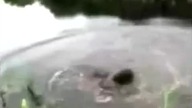 Fail Compilation 2012