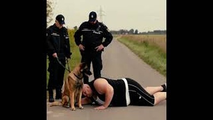 ALE...  CO WY ROBICIE OBYWATELU?! #dlaciebie #polska #zgrywa #wiral #zabawne #śmieszne #policja