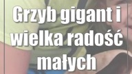 Grzyb gigant