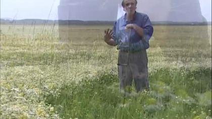 Prawidłowy zbi&oacute;r Rumianku. Lector IT 9+