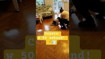 50 sekund i wszystko LŚNI!  #cleanwithme