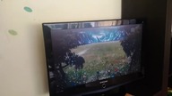 Ze śmietnika Telewizor