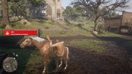 RDR 2 [#25] Owce od kozłów