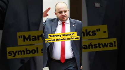 Martwy skunks symbolem słabości państwa! #Matecki #Sikorski #Polska #polityka