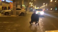 Gdy nie ma śniegu a chcesz się trochę pobawić