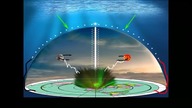 KOPUŁA ZAMKNIĘCI W ZOO.  SESJA HIPNOTYCZNA.  YES GATES OF DELIRIUM Płaska Ziemia Flat Earth ORWELL R