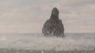 Godzilla kontra Biollante *1989* LP [d11]