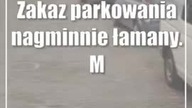 Zakaz parkowania nagminnie łamany.  Mieszkańcy domagają się słupków