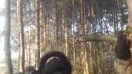 Tak się robi podciąganie gamonie