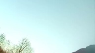Bimbi zimowy, śniegowy w zaspach tańczący! Leśna pogadanka i dyskusja! Q&A z Sarmatą! Mróz i zima!