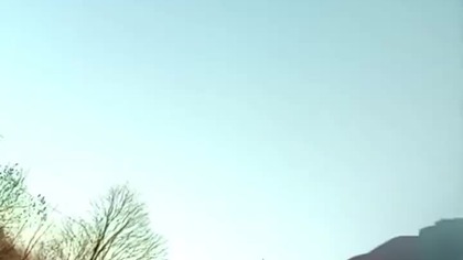 Bimbi zimowy, śniegowy w zaspach tańczący! Leśna pogadanka i dyskusja! Q&A z Sarmatą! Mróz i zima!