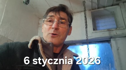 Kurczaki w kropki * 6. 01. 2026 #chickens