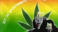 Test na wytrzymałość psychiczną