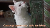 TuneFusion - Kocia Aura  [Polski Rap 2025 + Tekst]