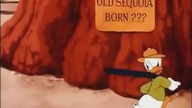 Kaczor Donald - Stara sekwoja (1945)