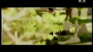 Pappa Bear - Cherish (ft.  Van der Toorn) (MTV Europe) (1998)