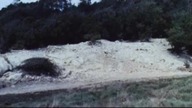 Triumf Herkulesa 1964 lektor pl