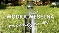 Dzika Kaczka - WÓDKA NA WESELE  Recenzja 7 | czy | #mójbar #wódkaweselna #wódka #shorts