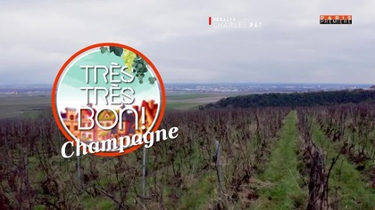 PARISPREMIERE FR - 20-03-2025 - Bande annonce, Recalage dantenne, Generiques