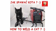 Jak humanitarnie spawać kota - czyli krótka przygoda początkującego spawacza.  How to weld a cat ?:)