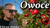 USA vs.  Polska - Owoce