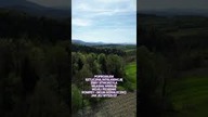 AI zrobiło cover mojej piosenki  #rompey #cover Rompey - Moja Góraleczko AI Cover