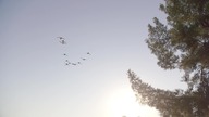 N31S. S15E06. Trapped.pl. 1080p. iT. WEB-DL. DD2. 0. H264-Ralf