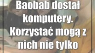 Baobab dostał komputery.  Korzystać mogą z nich nie tylko uchodźcy