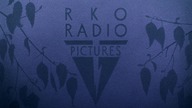 Bambi 1942 (pierwszy dubbing - 1961)