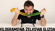 KILOGRAMOWA ŻELKOWA GLIZDA