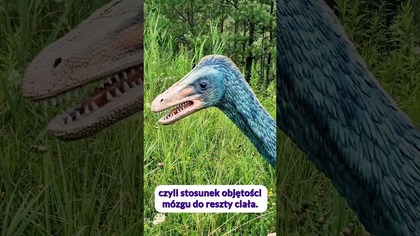 Czy troodon był najmądrzejszym dinozaurem? #dinozaury #paleontologia