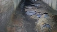 Halloweenowy short z kanałów