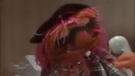ANIMAL STARES AT THE TELEPHONE WHILE I PLAY UNFITTING MUSIC(1)