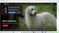 Bella i Sebastian, ale czemu leci z lektorem na Jedynce?
