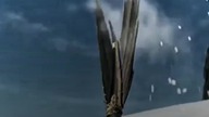 #tail #toothless || 4k quality edit || congratulations @httyd_Ruffrunner06 1k SUB 