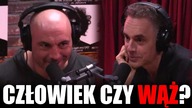 Czy obcy człowiek może być wężem? - ROGAN & PETERSON #24