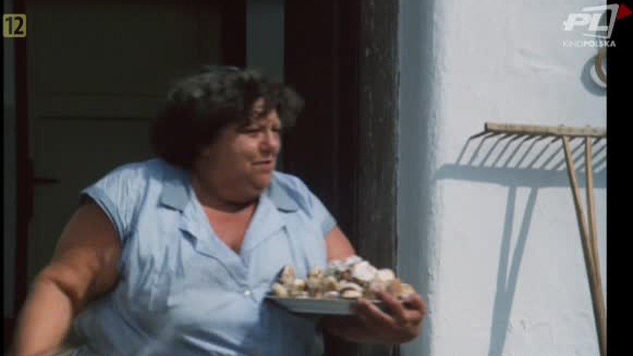 Słońce Siano I Parę Razy Po Gębie