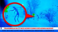 Oto dziwaczne filmy, o których wszyscy mówią