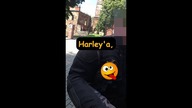 Oryginalny Harley