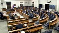 Robert Winnicki niszczy PiS w Senacie w sprawie ustawy ANTYhodowlanej