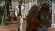 Kameleon - The. Pretender. S03E04.pl. DVDRip. XviD