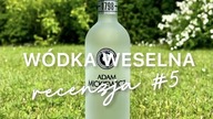 Adam Mickiewicz - WÓDKA NA WESELE  Recenzja 5 | czy | #mójbar #wódkaweselna #wódka #shorts