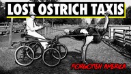 What Happened to Ostrich Carriages?