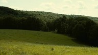 Pewnego lata 2015 lektor pl
