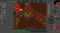 WAD2: Szybki Refill XD  Tibia Custom OTS Gameplay PL #shorts