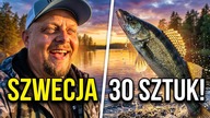 Sandacze w Szwecji - najlepsze łowisko! Jezioro Finjansjon