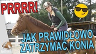 Jak prawidłowo zatrzymać konia